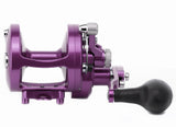 Avet Reels - MXL 6/4 MC Raptor